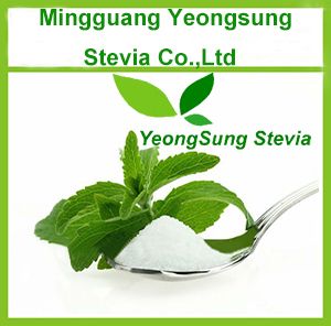 Stevia Extract Powder