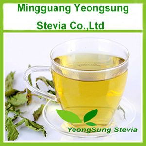 Natural Stevia Leaf Tea