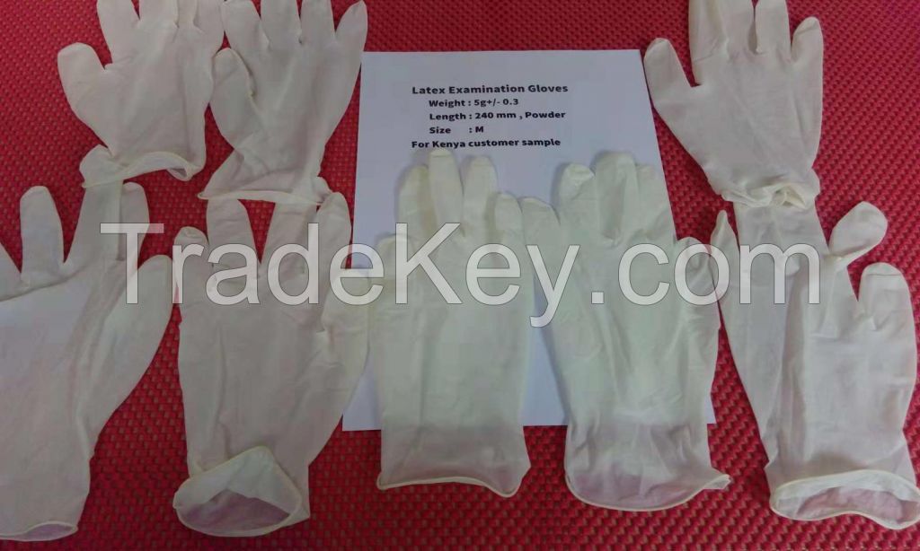 Latex Examination and Surgical Gloves