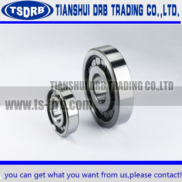 cylindrical roller bearing