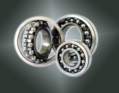 Self Aligning ball bearing