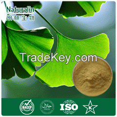 Natural Ginkgo Biloba Powder Extract