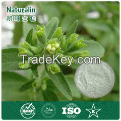 Organic and Natural Stevia leaf extract