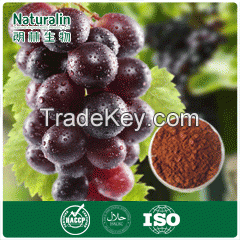 Grape Seed / Skin Extract