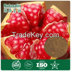 Pomegranate Skin Extract