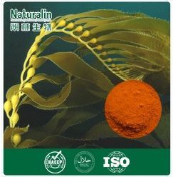 Fucoxanthin Extract