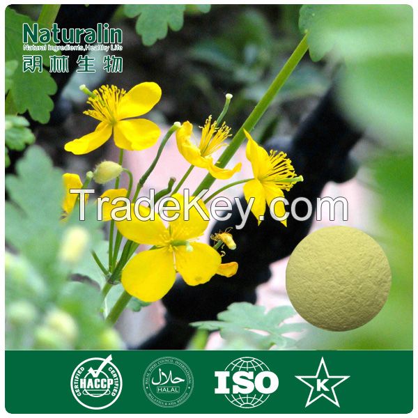 Celandine Extract