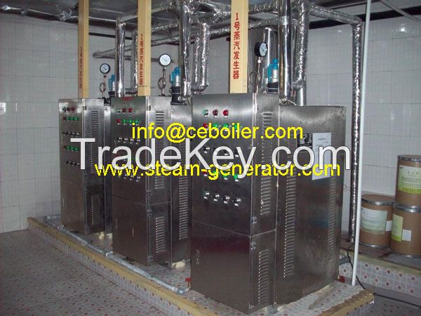 Electric Steam Generator