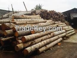 coconut wood,teak wood