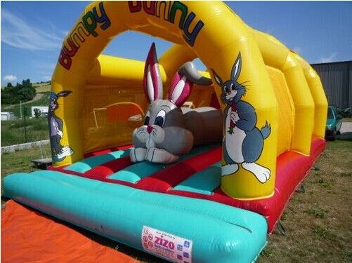 inflatable bouncing castle,bouncer,bounce house