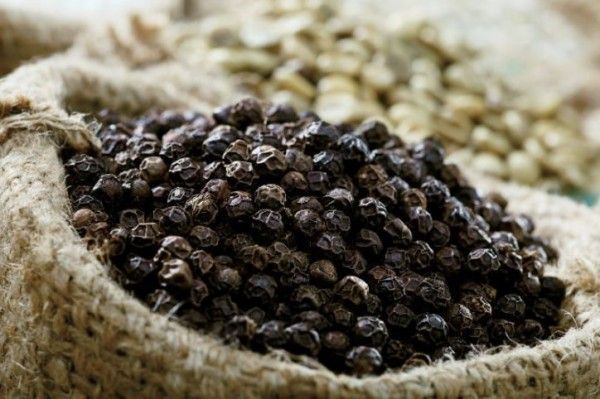 Low pirce high quality Vietnamese Black Pepper/Aim High