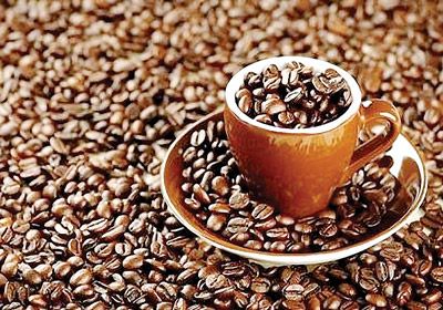 Arabica Viet Nam Coffee Bean/ Aim high