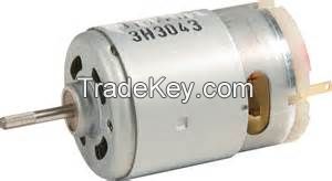 Johnson DC Motor