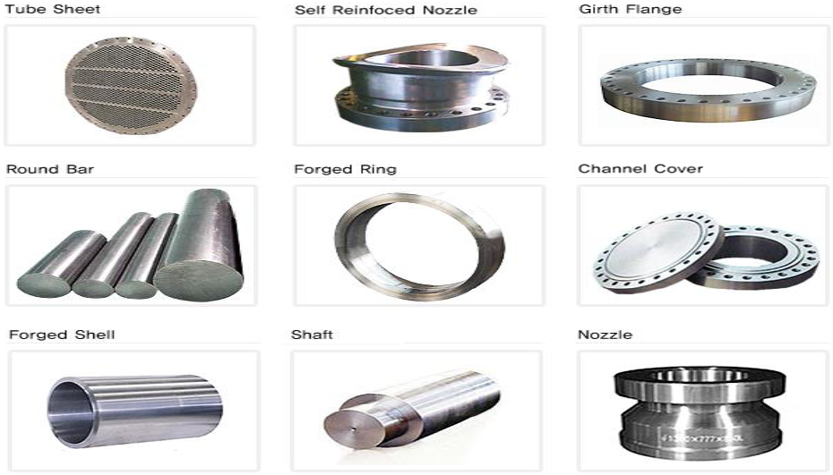 Non Standard Forged Flange made in Korea