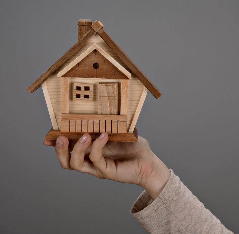 Wooden money-box "House"