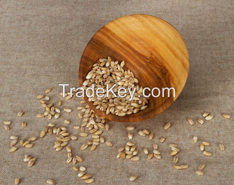 Wooden bowl for food