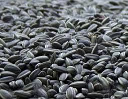 High quality sunflower seeds