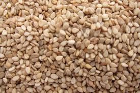 High quality Sesame seed