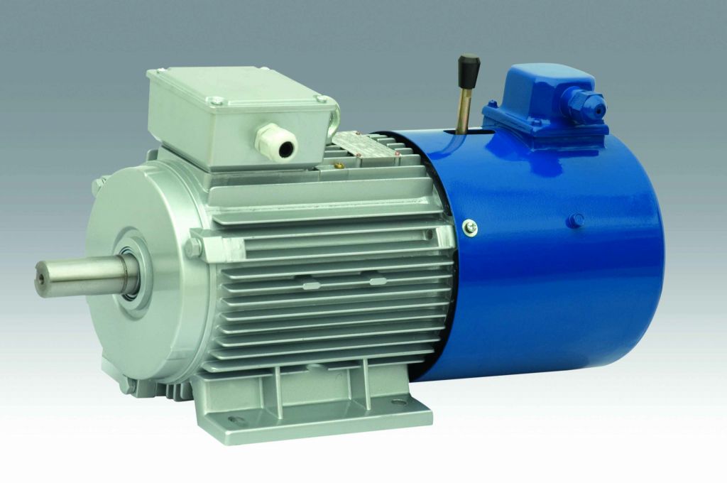 YPM, YPEJ,YEPM series inverter duty motor