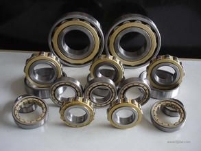 China High Quality Cylindrical Roller Bearing