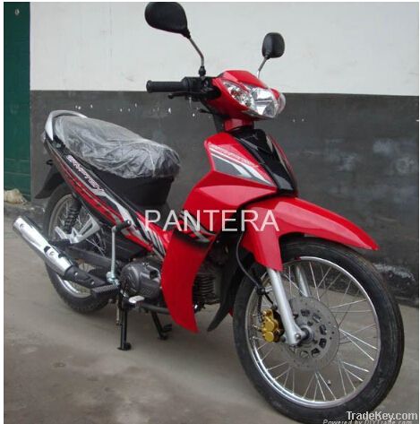 MOTORCYCLE PT110-C8