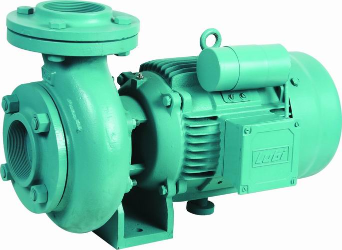 Lubi 3 Phase Monoblock Centrifugal Pumps Ac Motors By Lubi Group Of