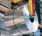 Galvanized Steel Coil