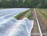 High Quality Nonwowen Pp Woven Weed Mat/ground Cover /weed Barrier Mat