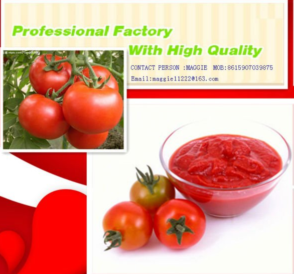 TOMATO PASTE FROM CHINA