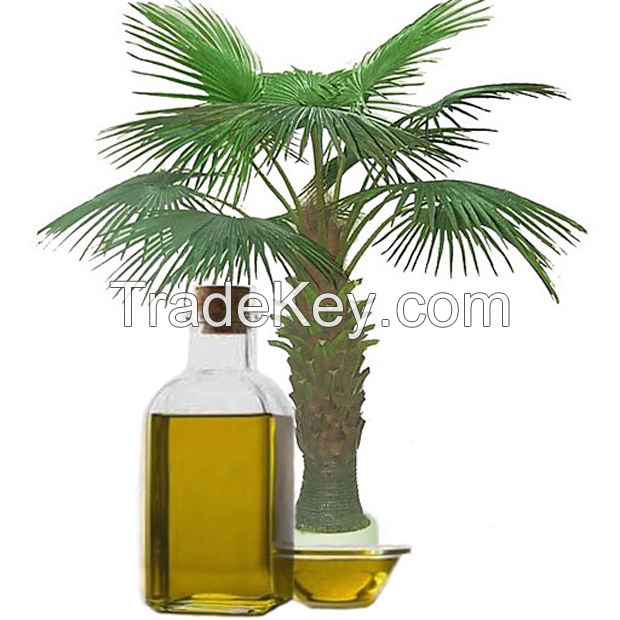 Neopentyl Polyol Ester for refrigerator oil, chain saw oil