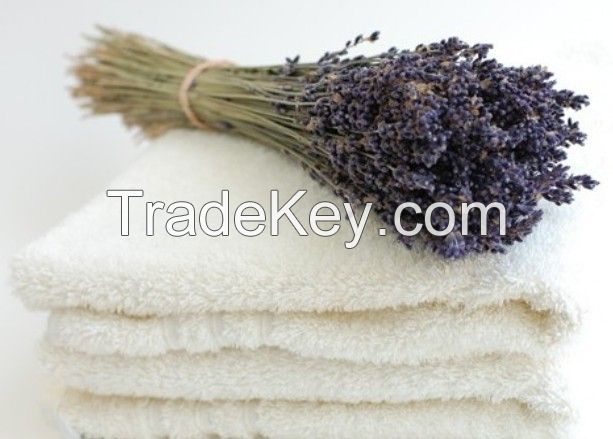 wholesale terry dobby white towel