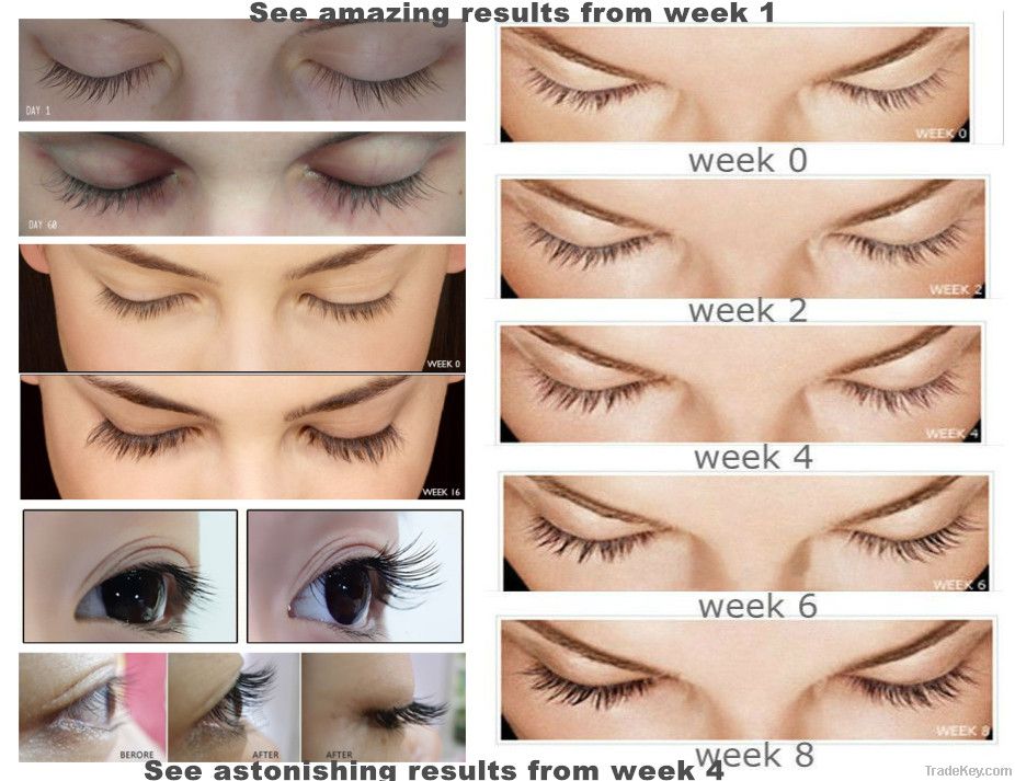 real+eyelash enhancer 2014 best lash grower