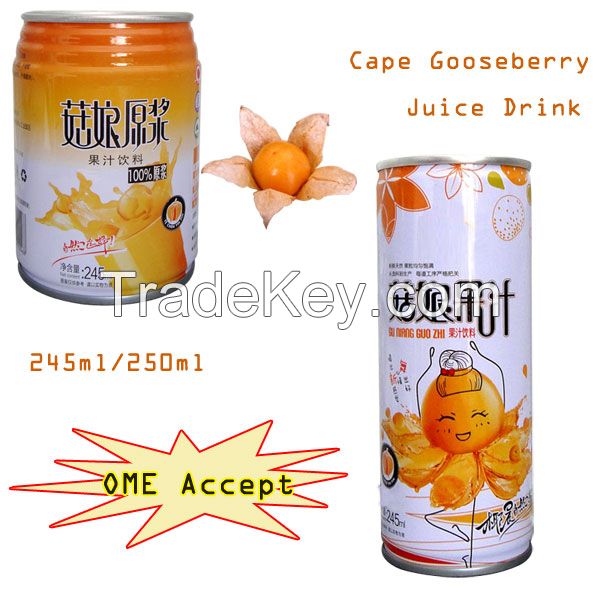 250ml Canned Apple Juice Drink --OME