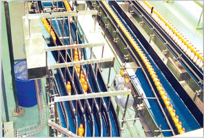 Pet Bottle Conveyor Conveying System