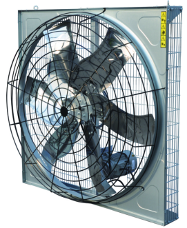 36" hanging fan for diary house 