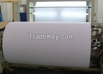 Thermal Big Roll Paper