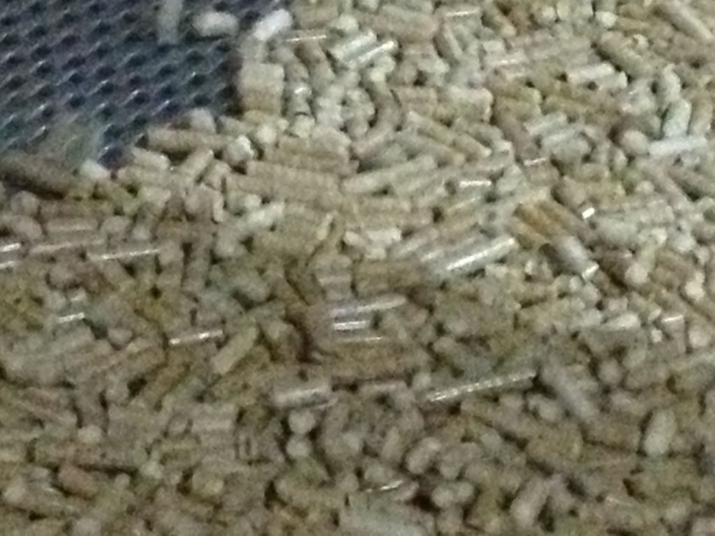 wood pellets 