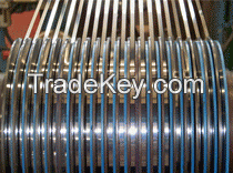 Cold-Rolled Stainless Steel Strips