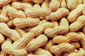 peanut with shell