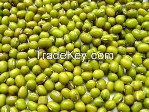 green mung bean