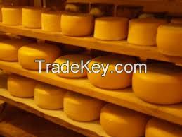 Mozzarella Cheese-Edam Cheese and more