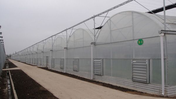 commercial greenhouse for sale 