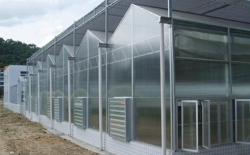 commercial greenhouse for sale 