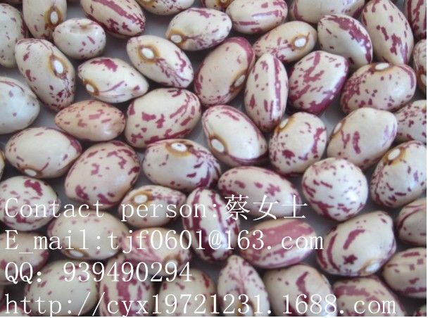 light speckled kidney beans