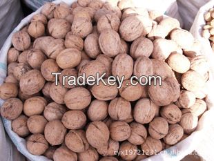 super thin-skinned big plump thin cardboard walnut walnuts