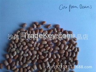 cowpea