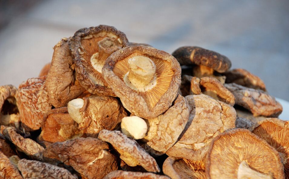 Nutritious dried shiitake mushroom/dried mushrooms/dried flower mushroom