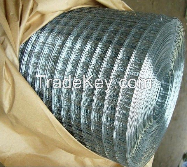 Welded Wire Mesh