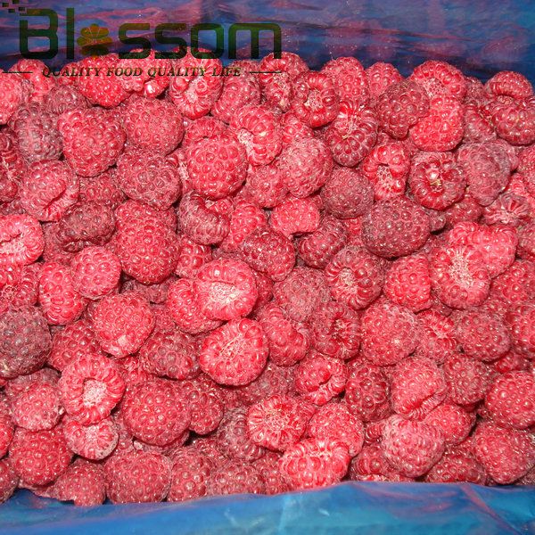 Fresh fruit grade A class 1 wholesale market price for frozen natural raspberry