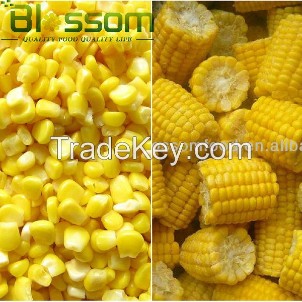 Frozen sweet corn 